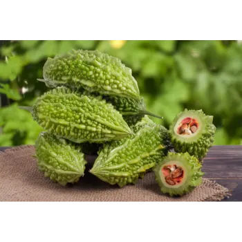 Bitter gourd (45)-9027654-62023.webp